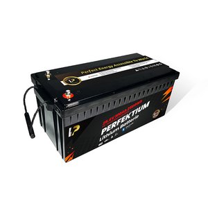 Perfektium 24V 100Ah Lithium Batterie LiFePO4 PRO Smart BMS mit Bluetooth